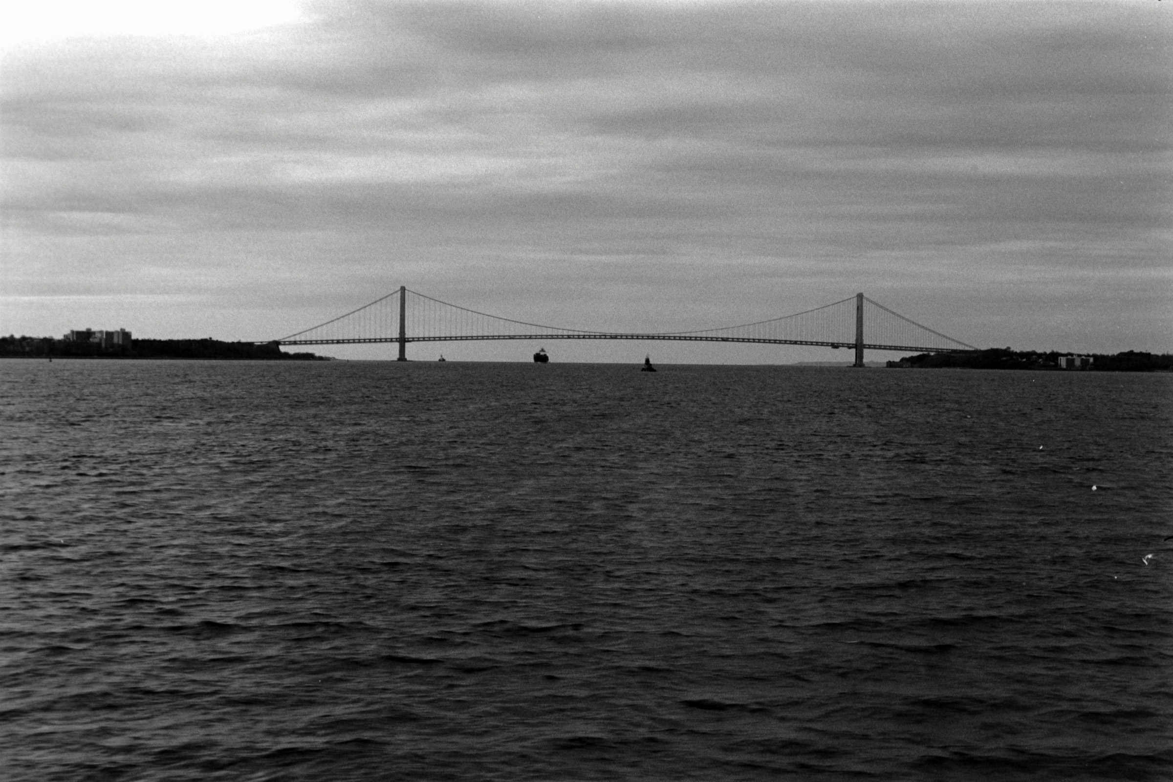 AHP F1995 04 003 sc240816 img26 NLP